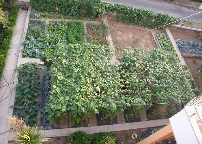 Josipa * ヴォディツェ